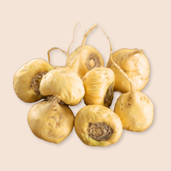 Maca Wurzel