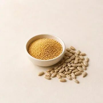 Sonnenblumen-Lecithin