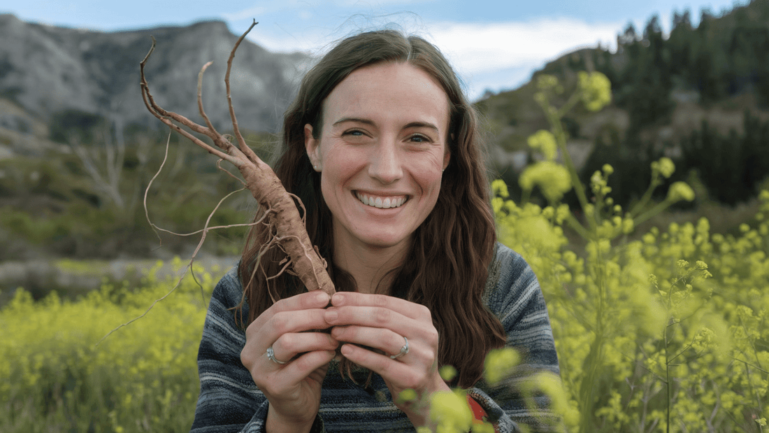 Astragalus Wurzel | Stärkt Immunsystem und lindert Allergien - Zell Harmonie®