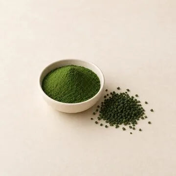 Chlorella