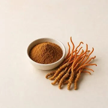 Cordyceps-Pilz