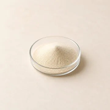 Lactobacillus plantarum