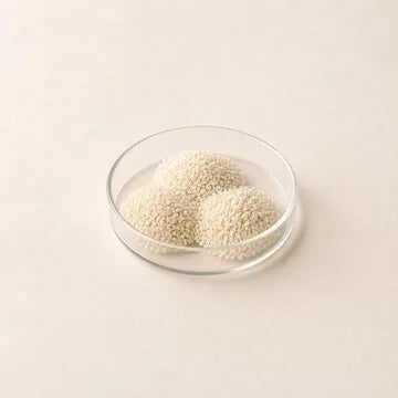 Lactobacillus rhamnosus