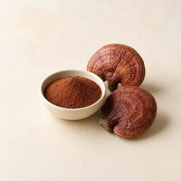 Reishi-Pilz